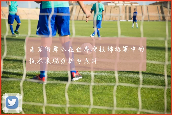 南京街舞队在世界滑板锦标赛中的技术表现分析与点评