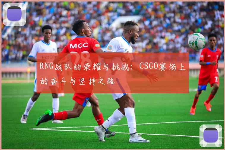 RNG战队的荣耀与挑战：CSGO赛场上的奋斗与坚持之路